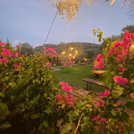 Suzi'Nin Bahcesi Bungalov Evler Датча Екстер'єр фото