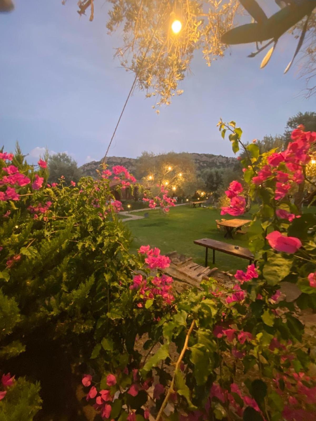 Suzi'Nin Bahcesi Bungalov Evler Датча Екстер'єр фото