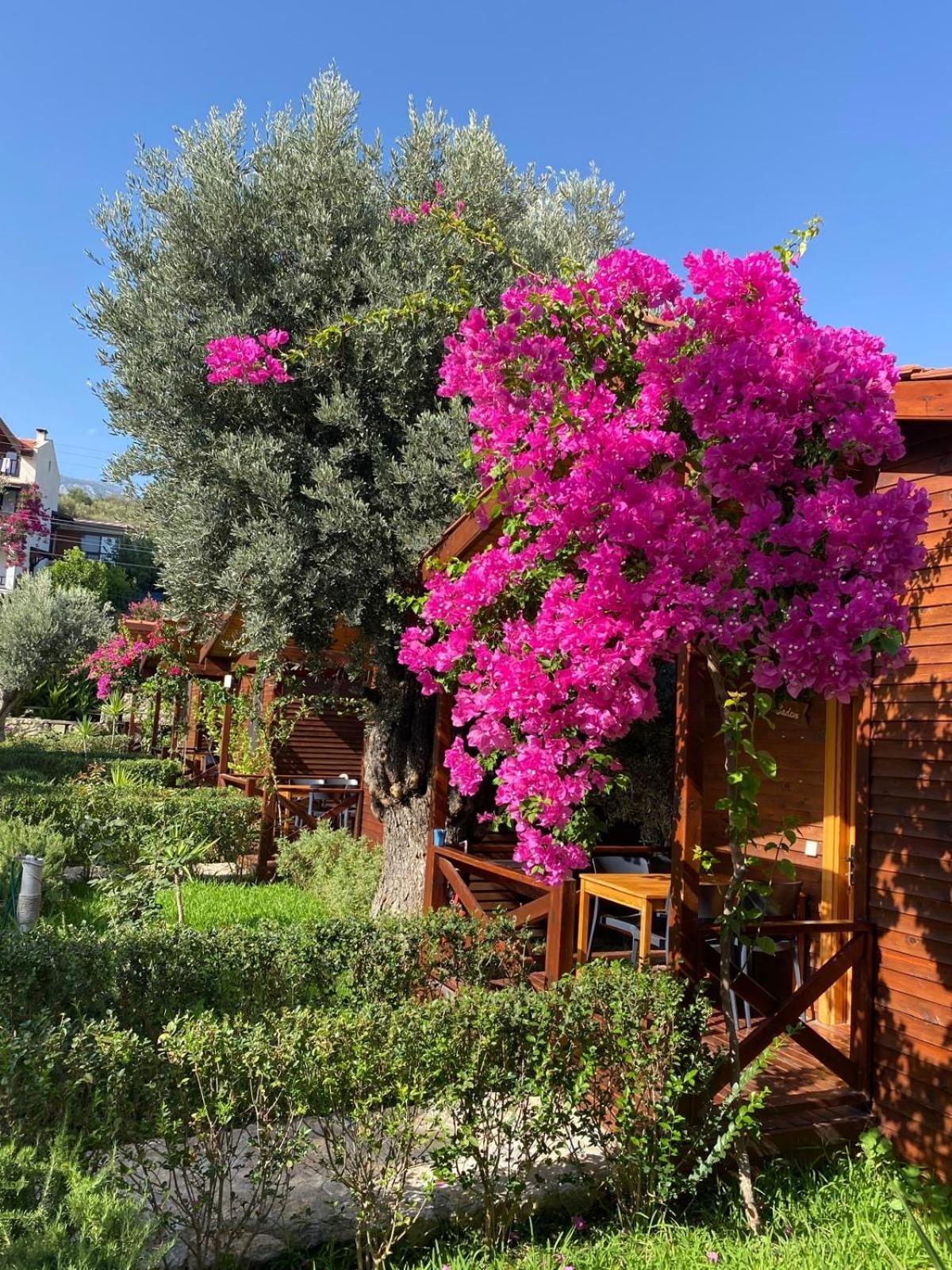 Suzi'Nin Bahcesi Bungalov Evler Датча Екстер'єр фото